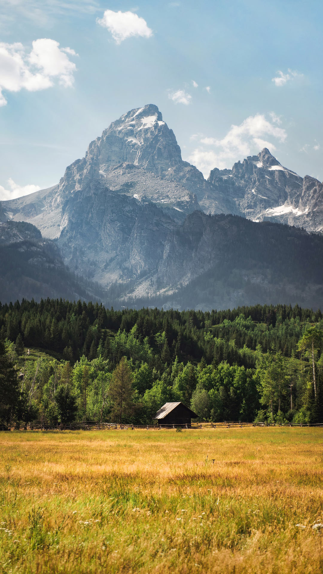 监控服务常见功能使用