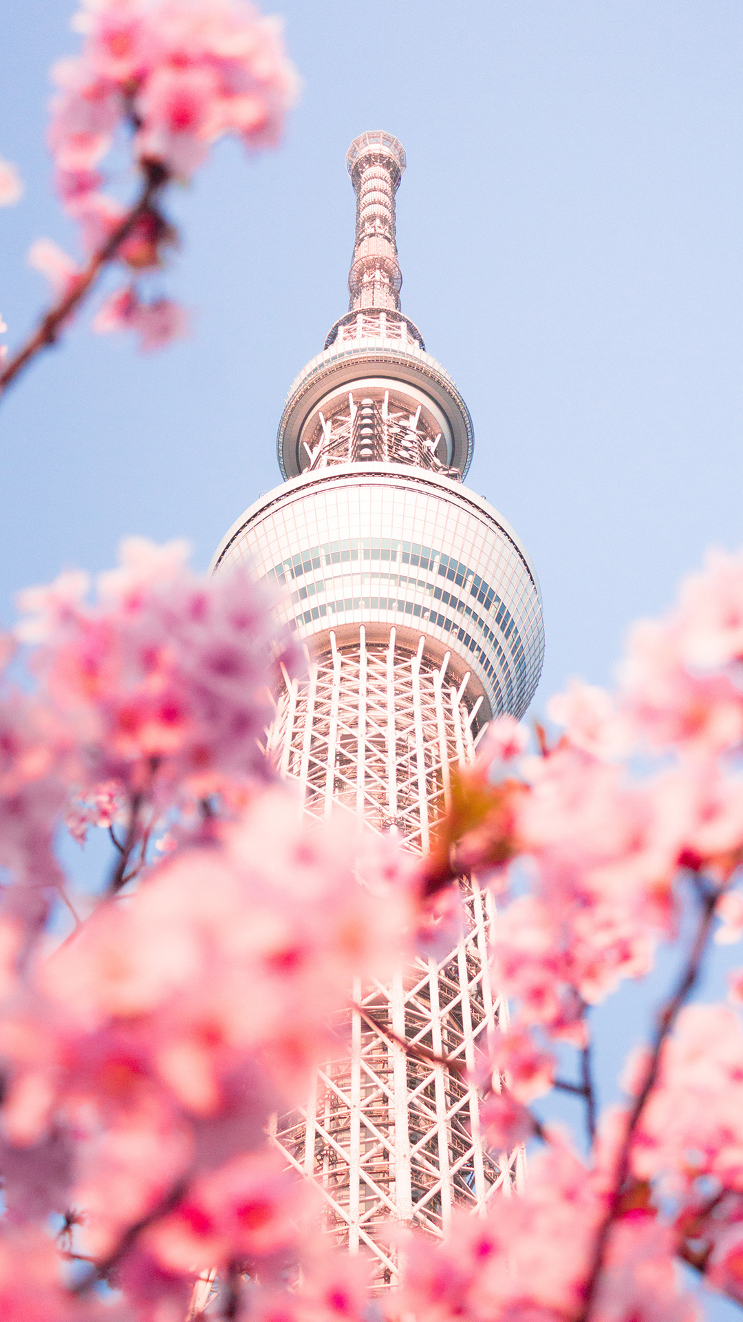 前端数据状态管理